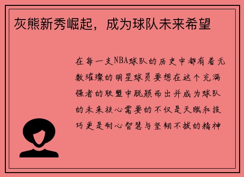 灰熊新秀崛起，成为球队未来希望