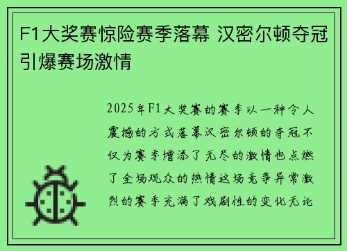 F1大奖赛惊险赛季落幕 汉密尔顿夺冠引爆赛场激情