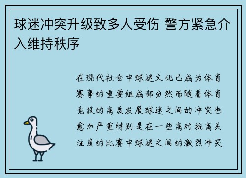 球迷冲突升级致多人受伤 警方紧急介入维持秩序